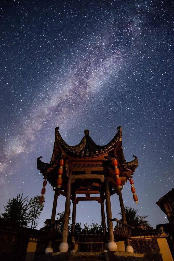 幻想森林逃生