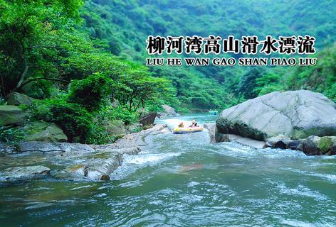 小僵尸射飞鸟